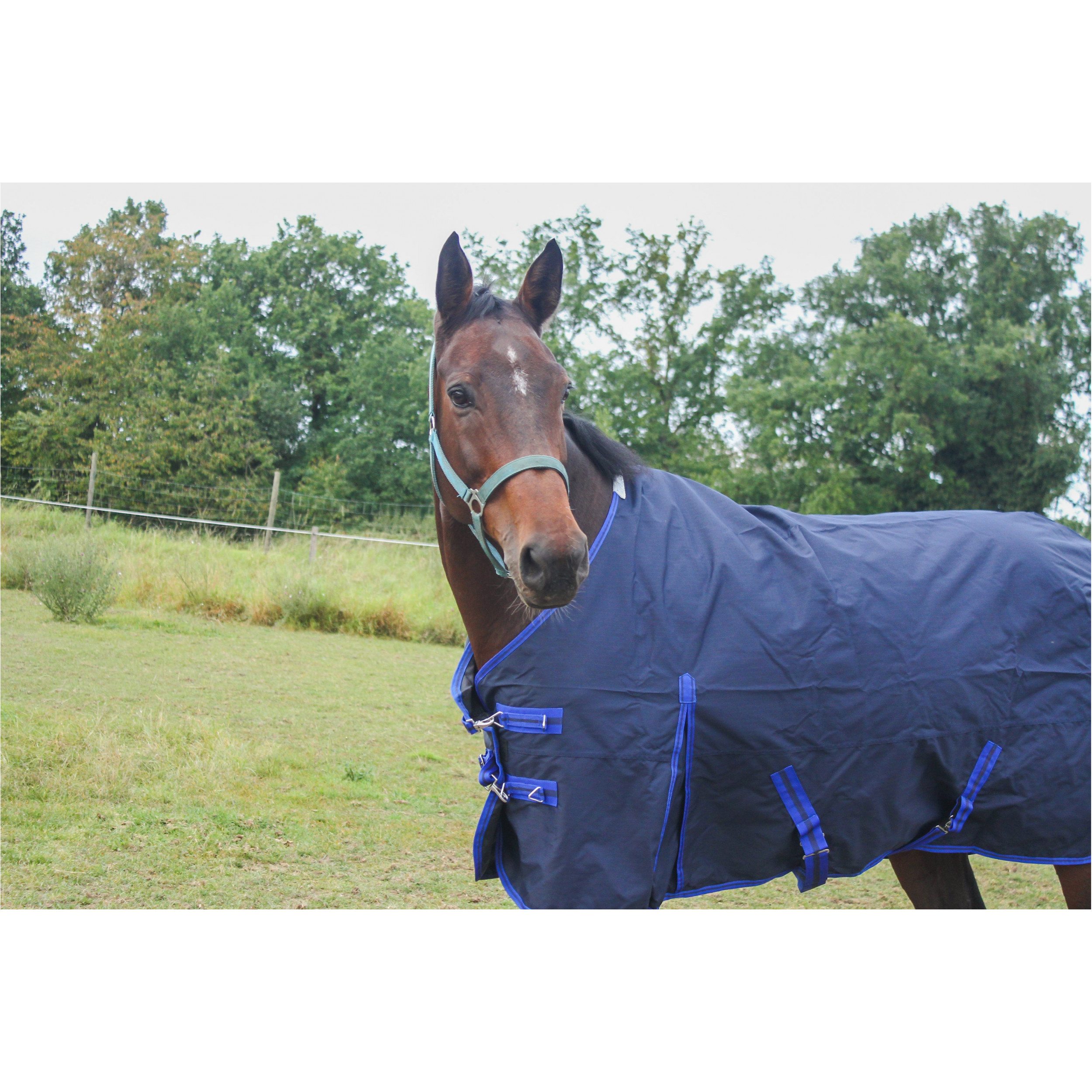 Weidedecke Polarfleece 600D BASICLINE dunkelblau - Posten