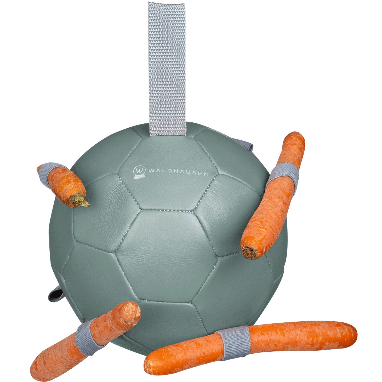 Karottenball mistel 18cm