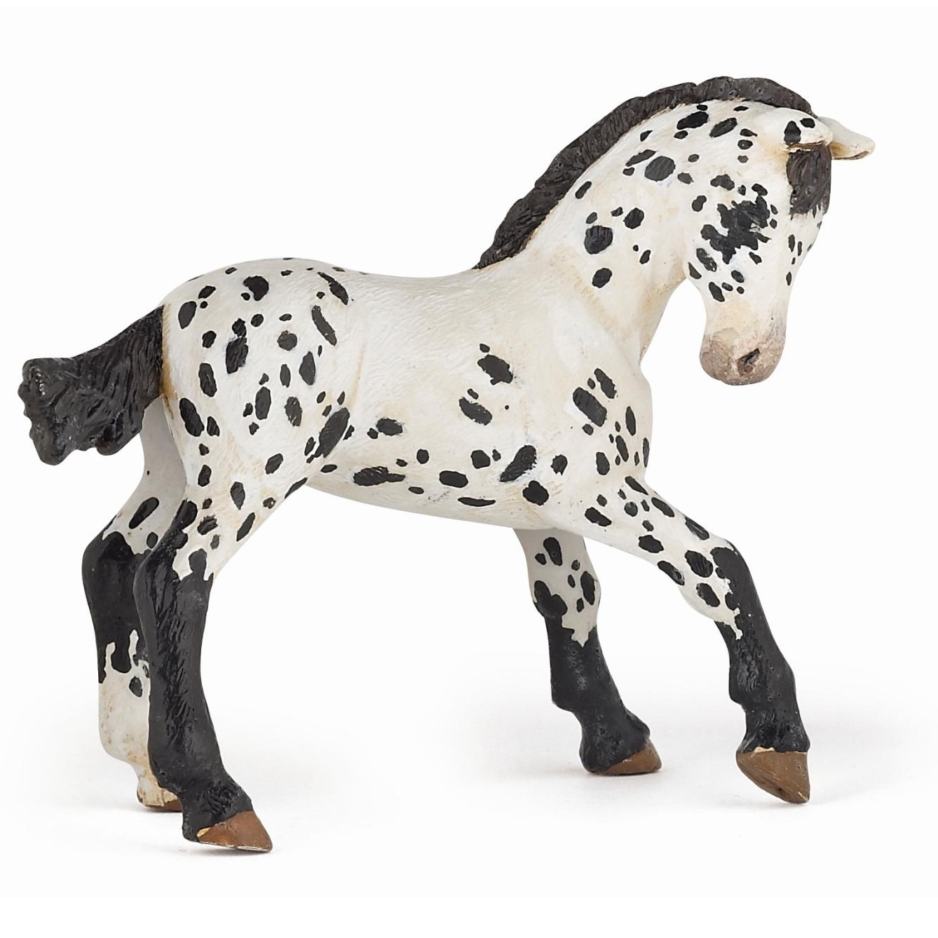 Appaloosa Fohlen schwarz