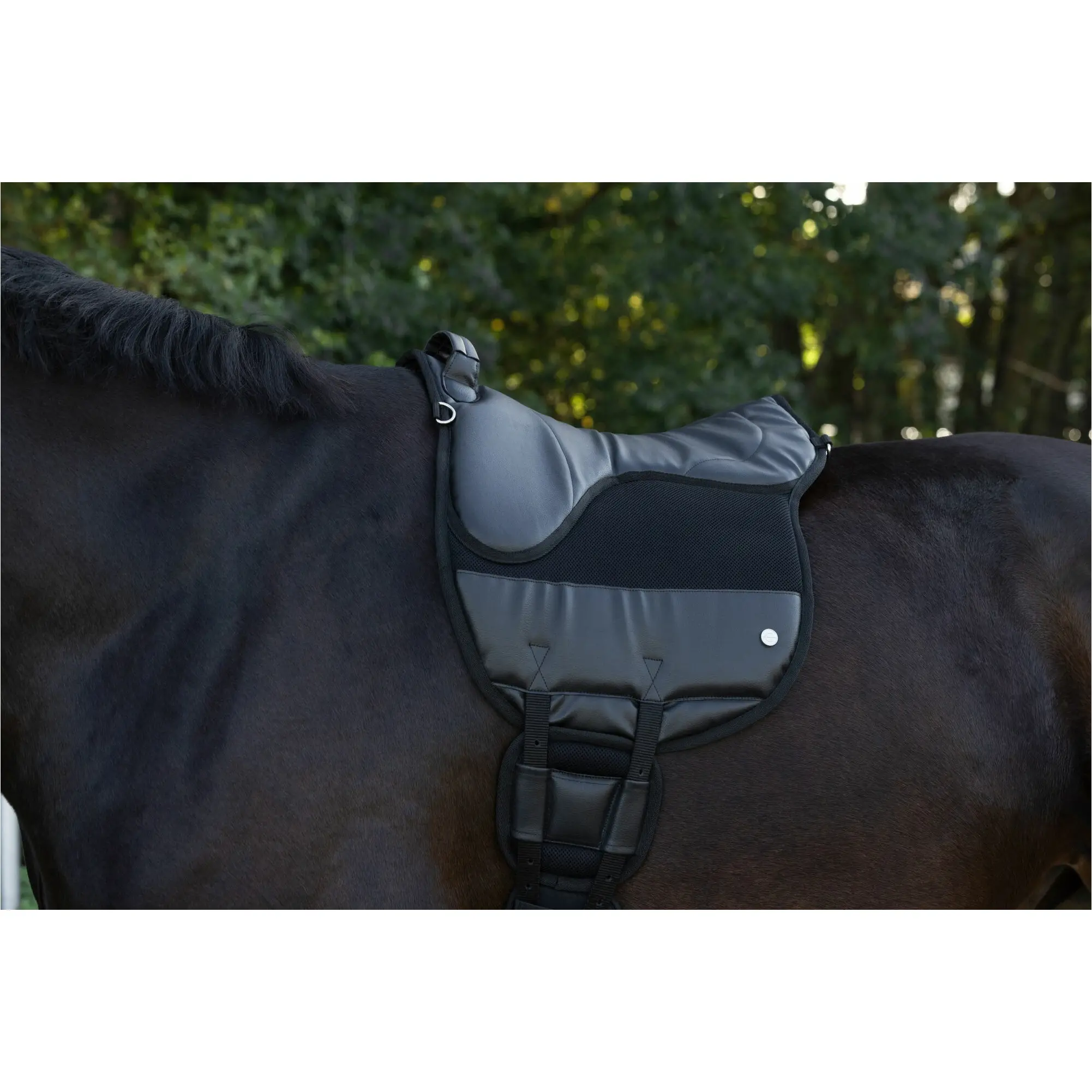 Reitpad AiRide schwarz 50cm