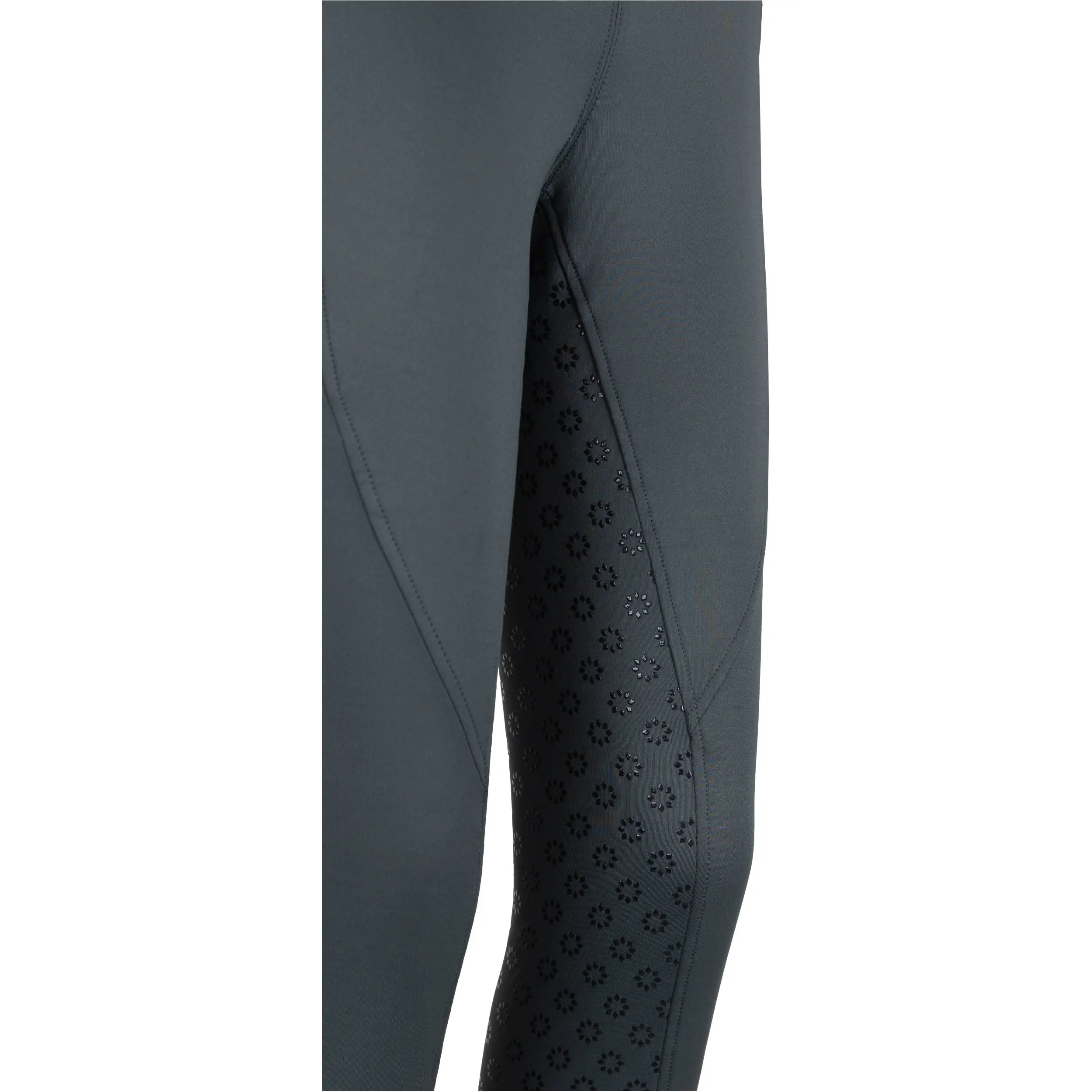 Winter Damen Reitleggings Silikon Vollbesatz THEA graphite