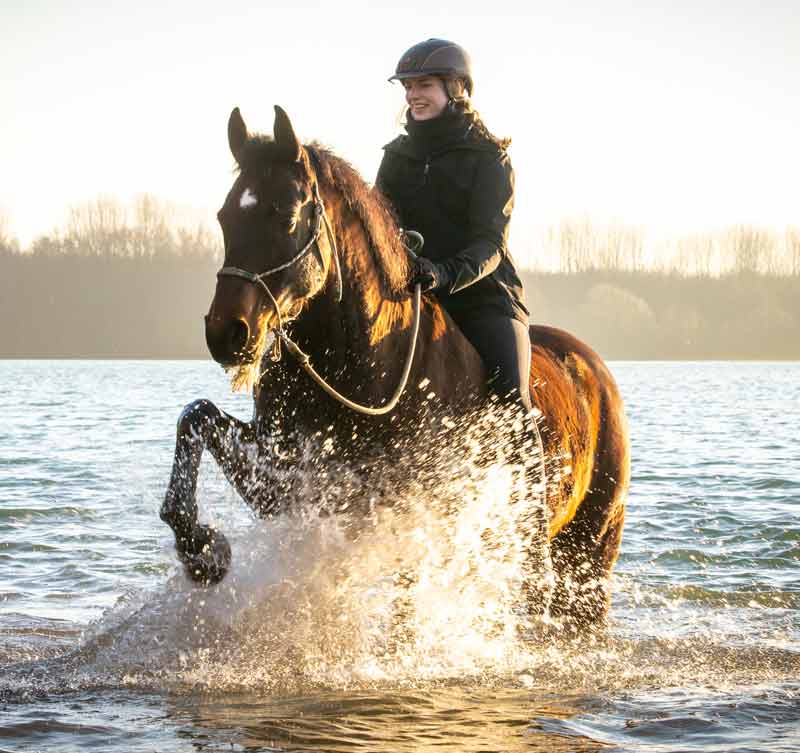 reiter-pferd-see-baden