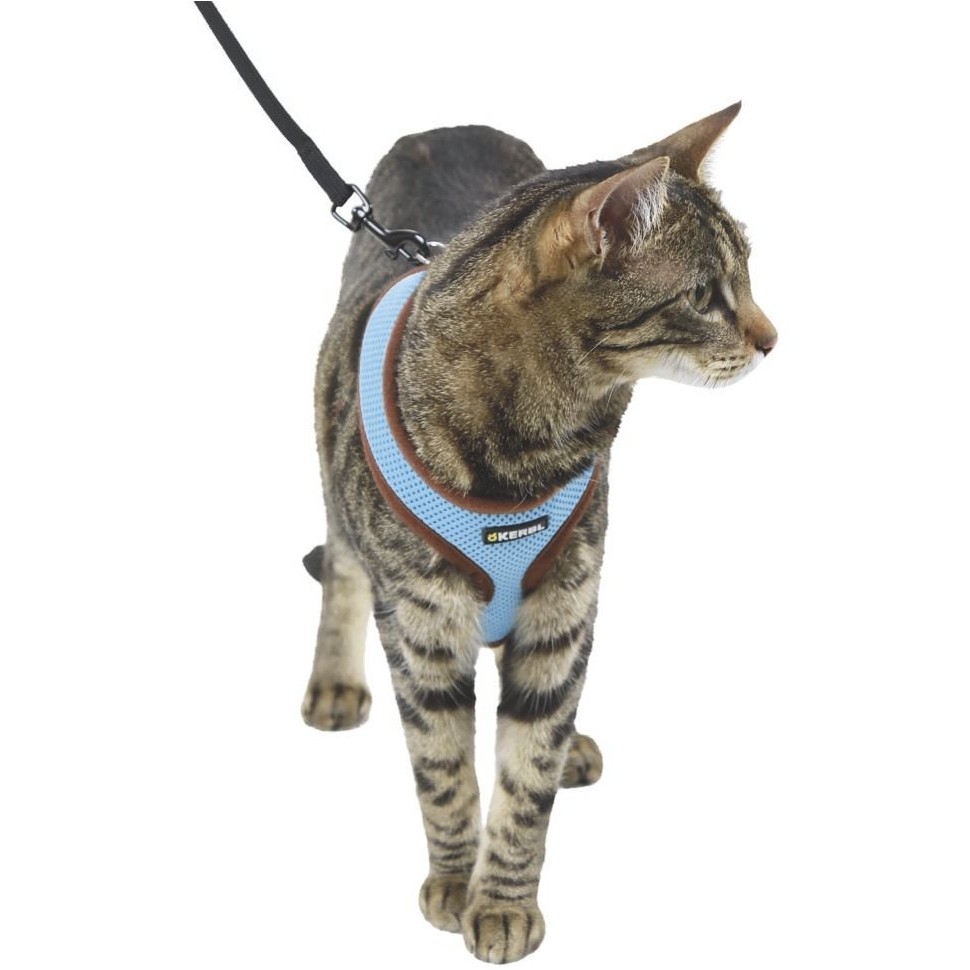 Katzengeschirr mit Leine ACTIVE blau 120cm 