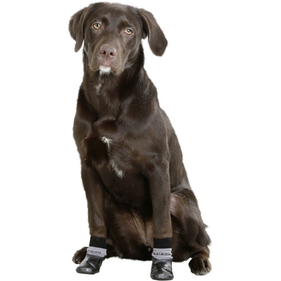 Hundesocken (2er Set) mit Nitrilbeschichtung SUSI 