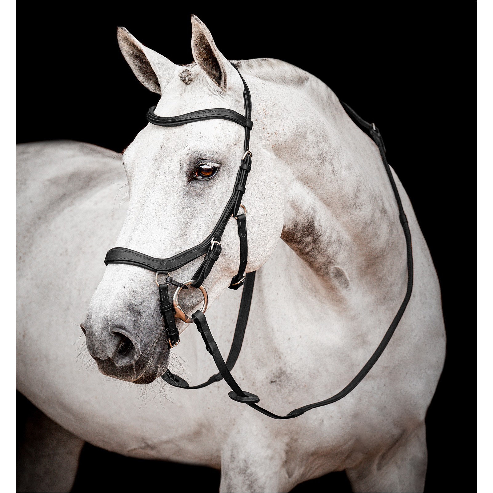 Trensenzaum MICKLEM 2 Competition Bridle schwarz