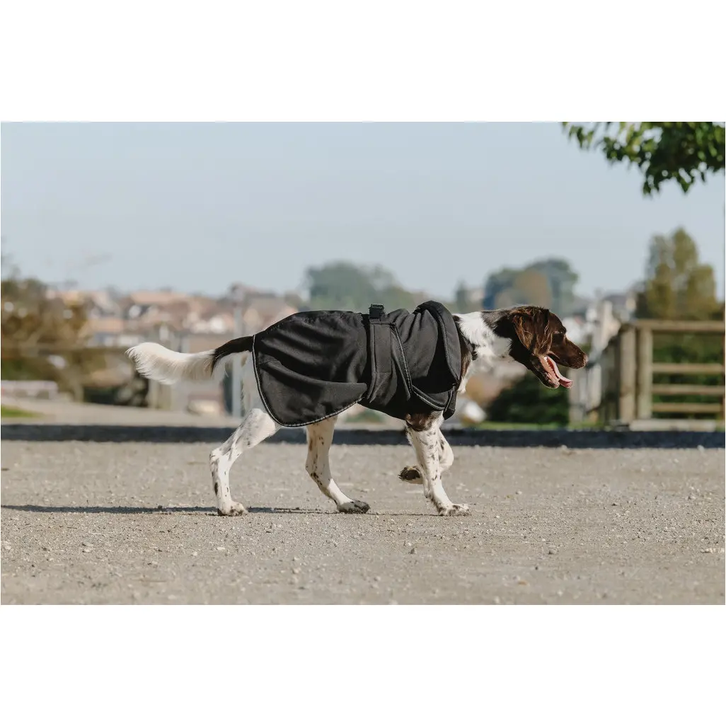 Hundedecke Softshell schwarz