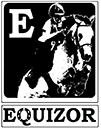 EQUIZOR