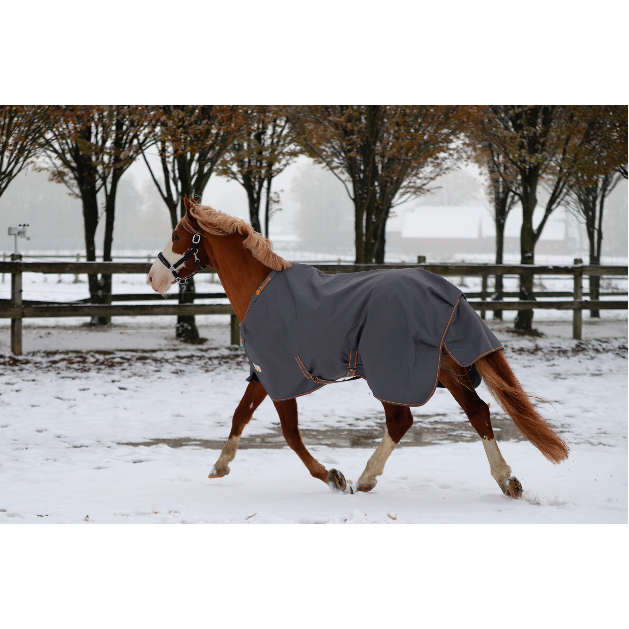 Weidedecke Stay-Dry 1200D IRISH TURNOUT grau/orange