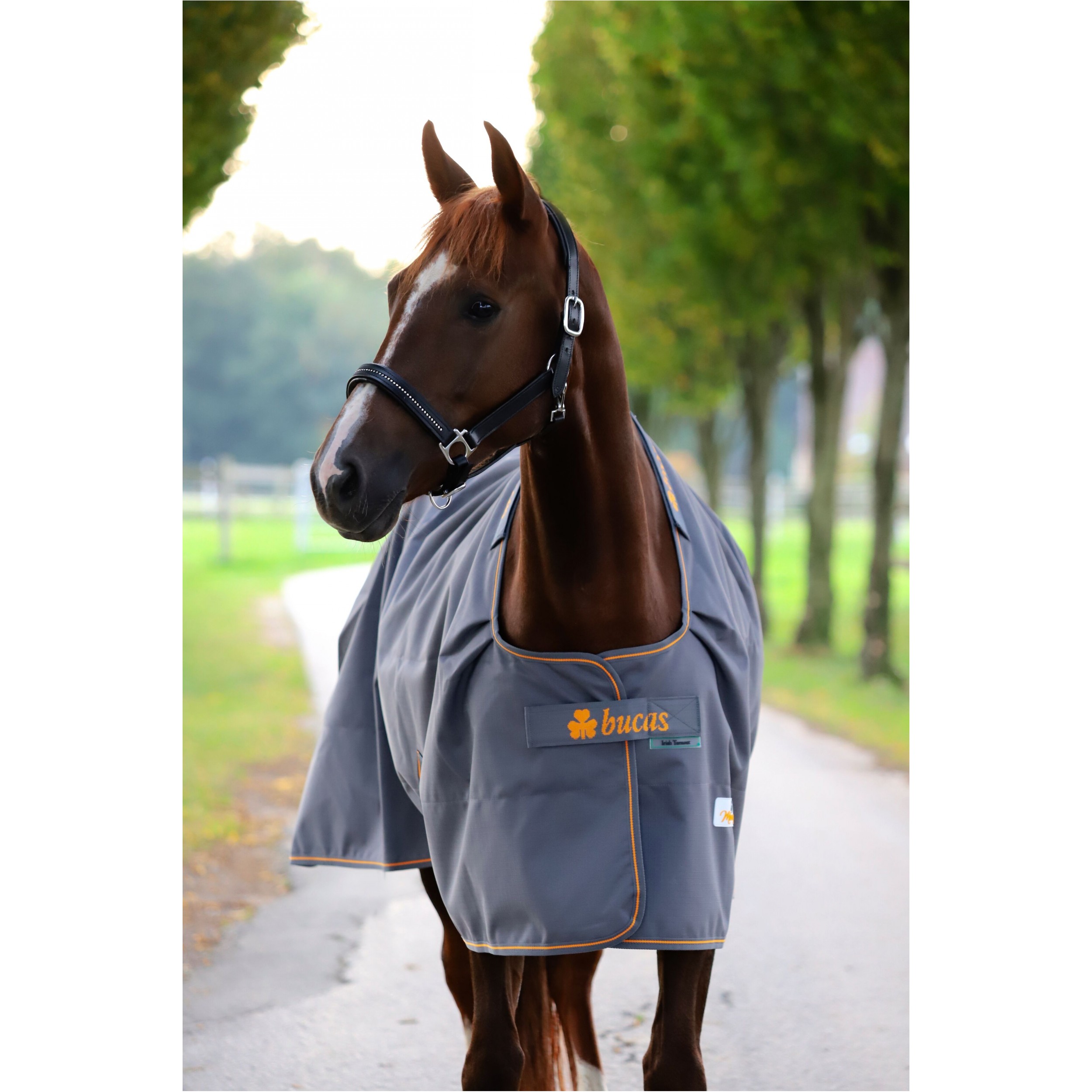 Weidedecke 1200D IRISH TURNOUT grau/orange