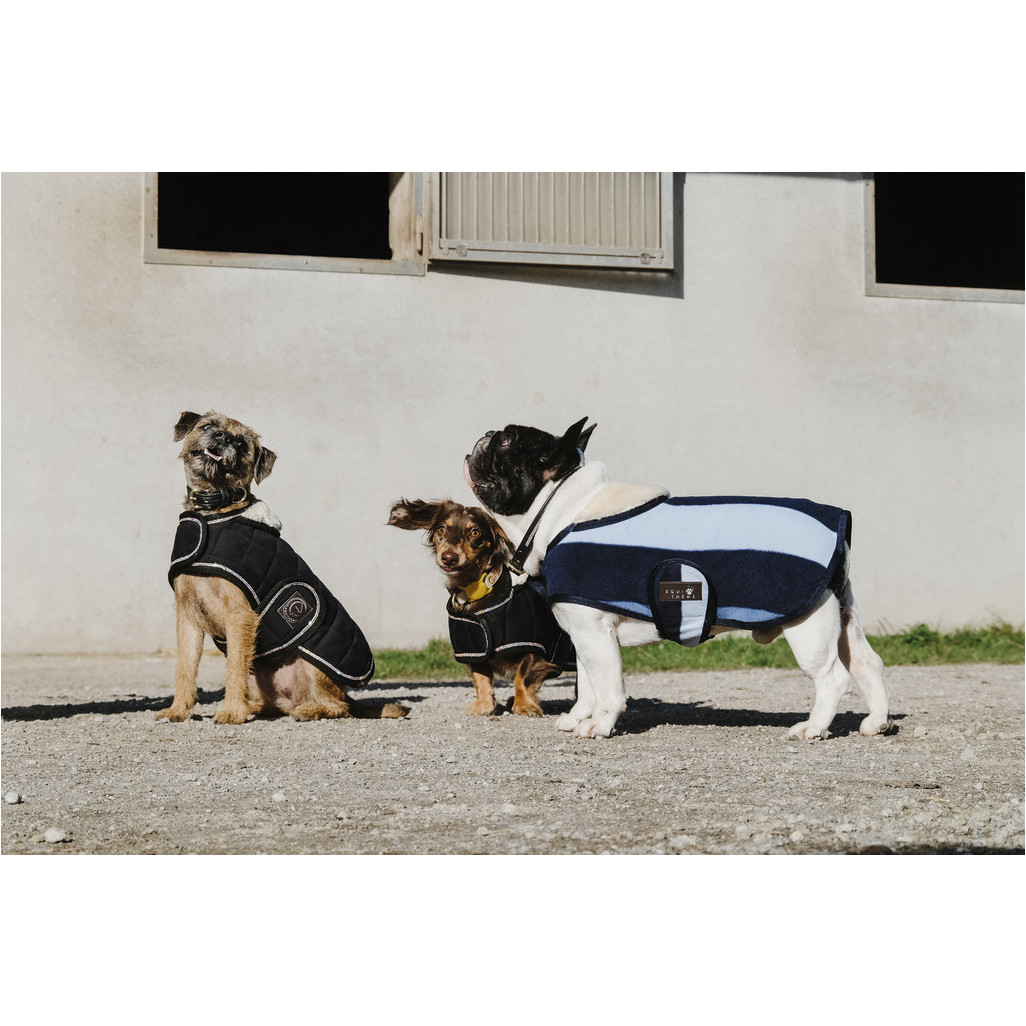 Hundedecke CONFORTEC marineblau