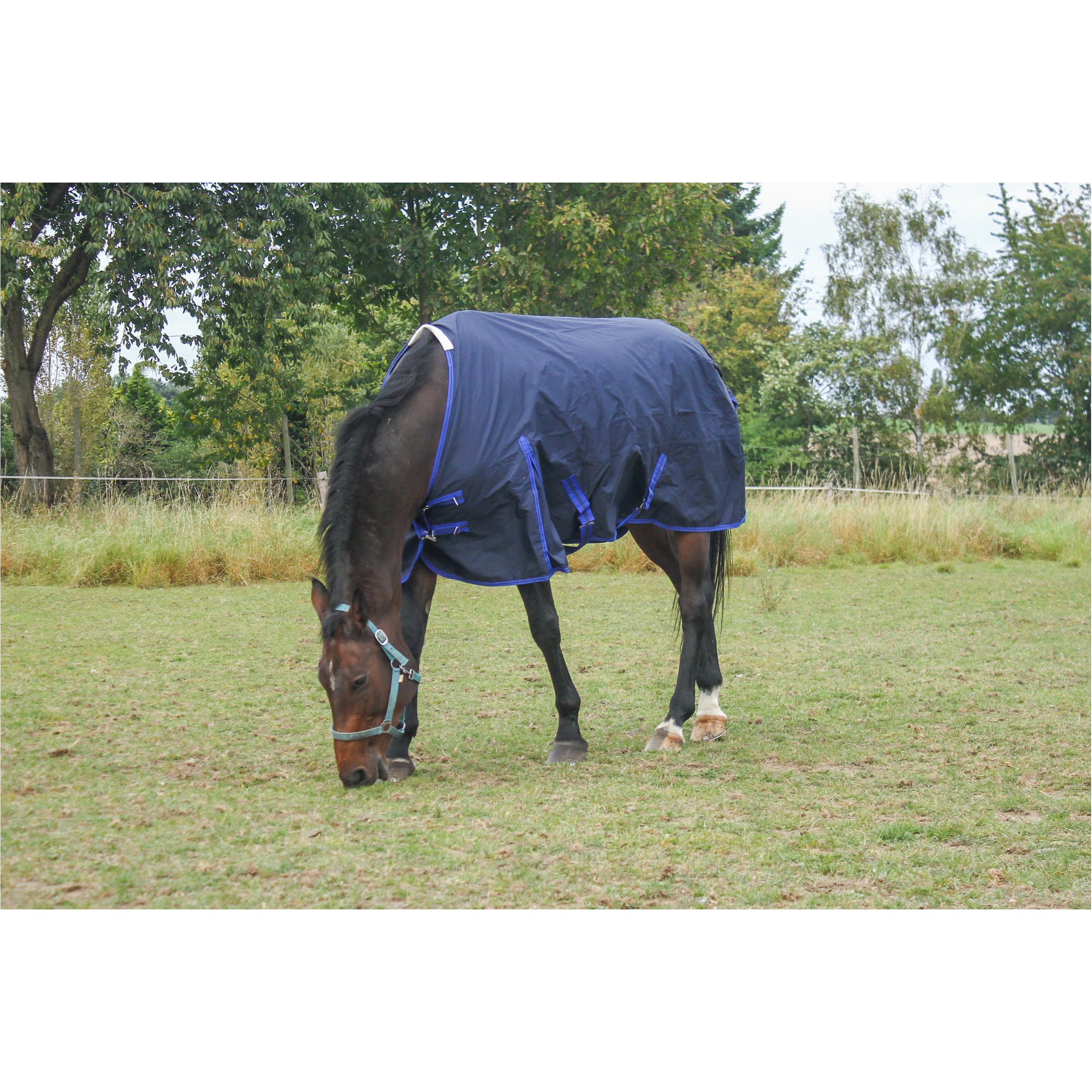 Weidedecke Polarfleece 600D BASICLINE dunkelblau - Posten