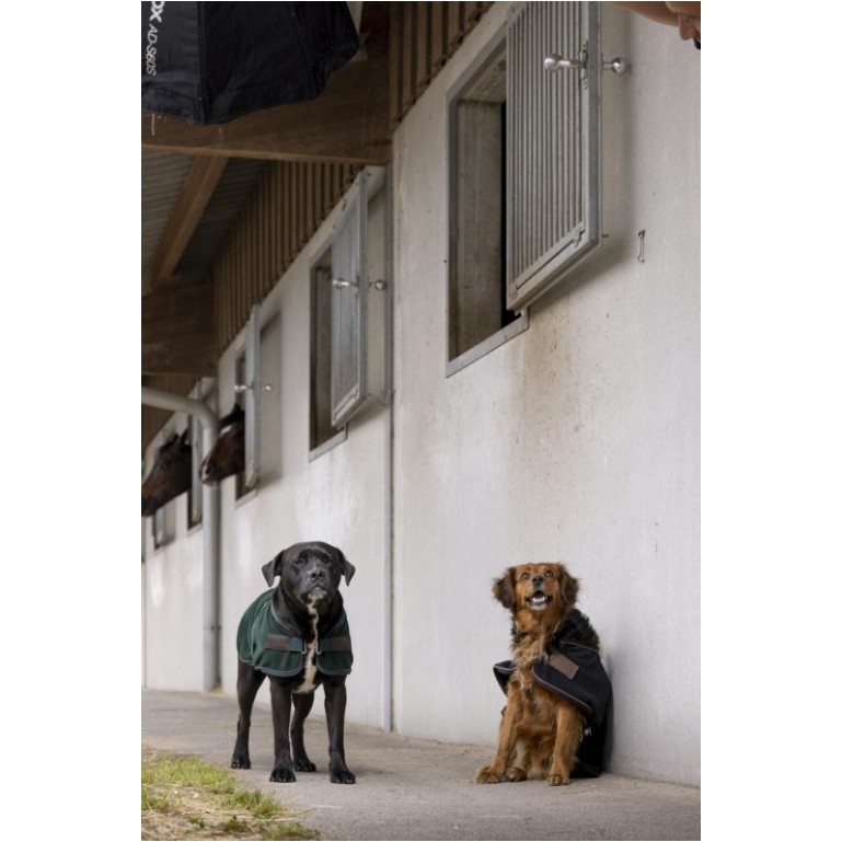 Hunde Fleecemantel TEDDY grün