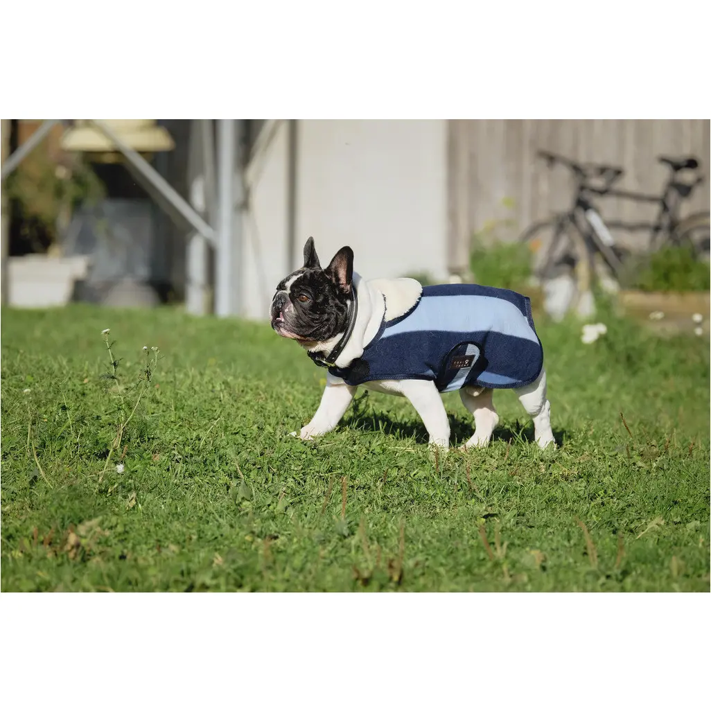 Hundedecke CONFORTEC marineblau