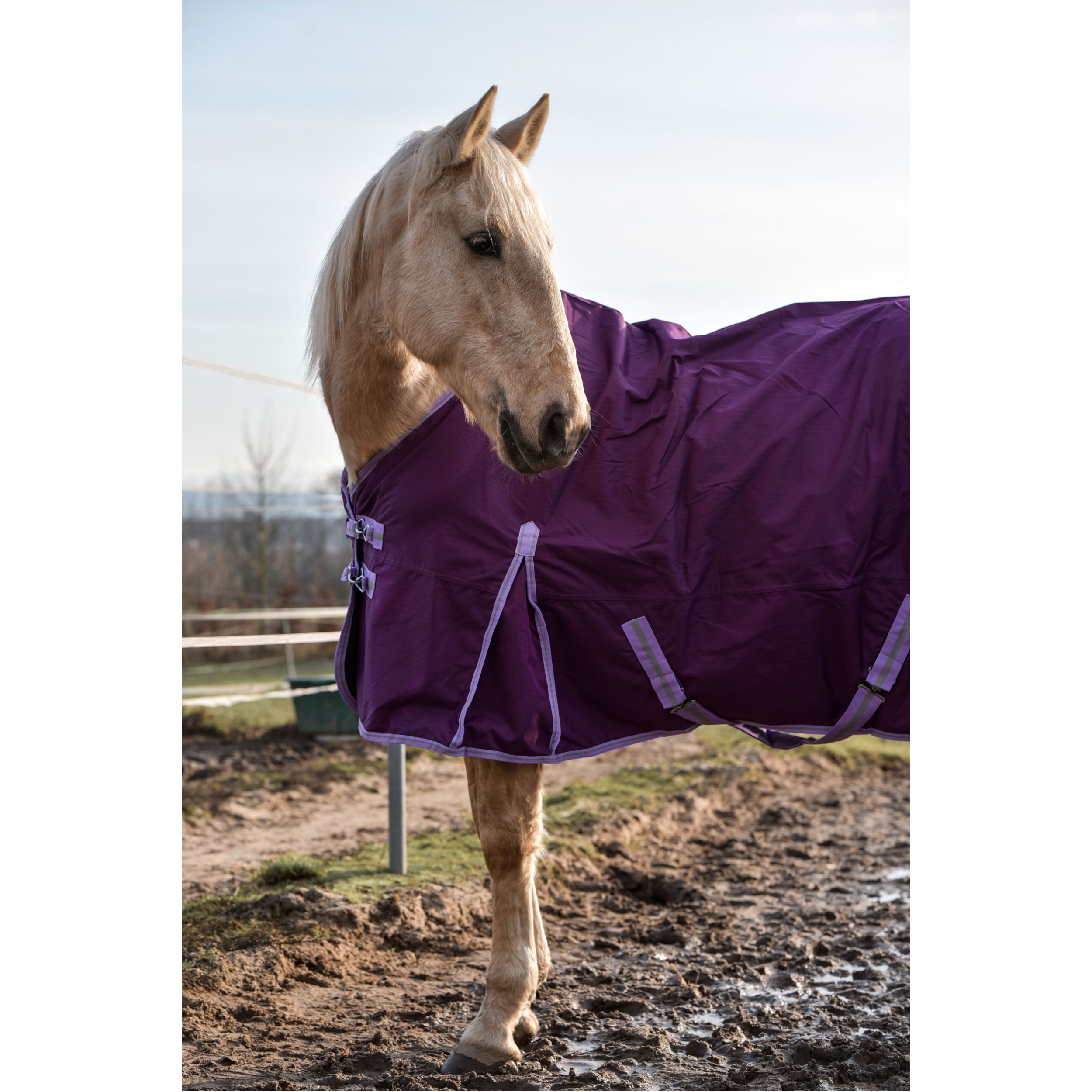 Weidedecke Polarfleece 600D BASICLINE lila - Posten