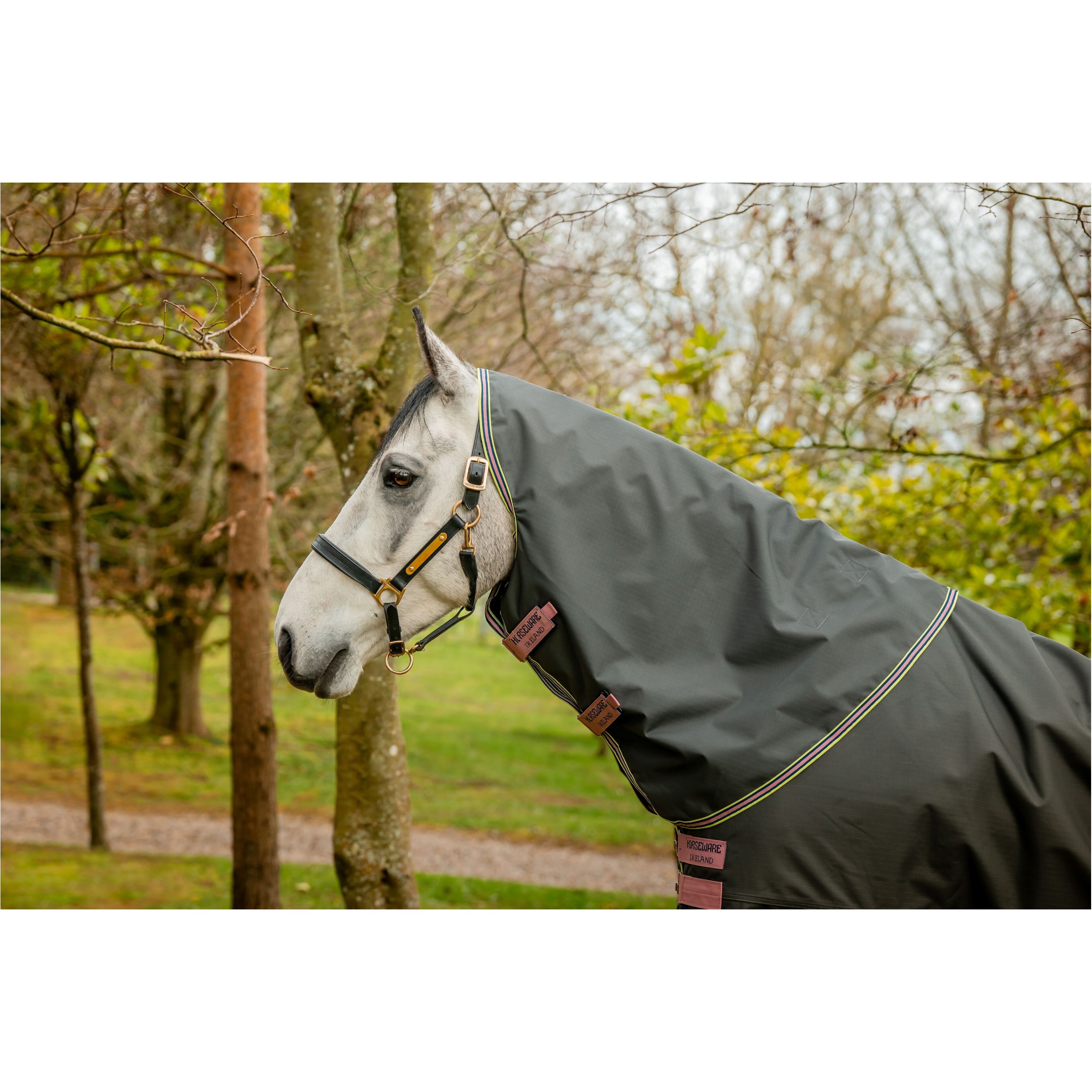 Halsteil 600D AMIGO Hero Ripstop Hood shadow/rose/navy