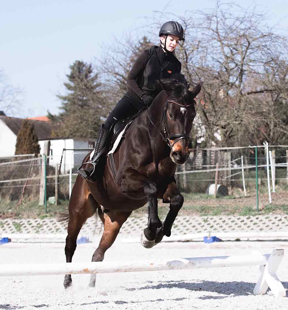 schutzweste-R-ckenprotektor-FLEX-Lazura-schwarz-springreiten-freizeitreiter