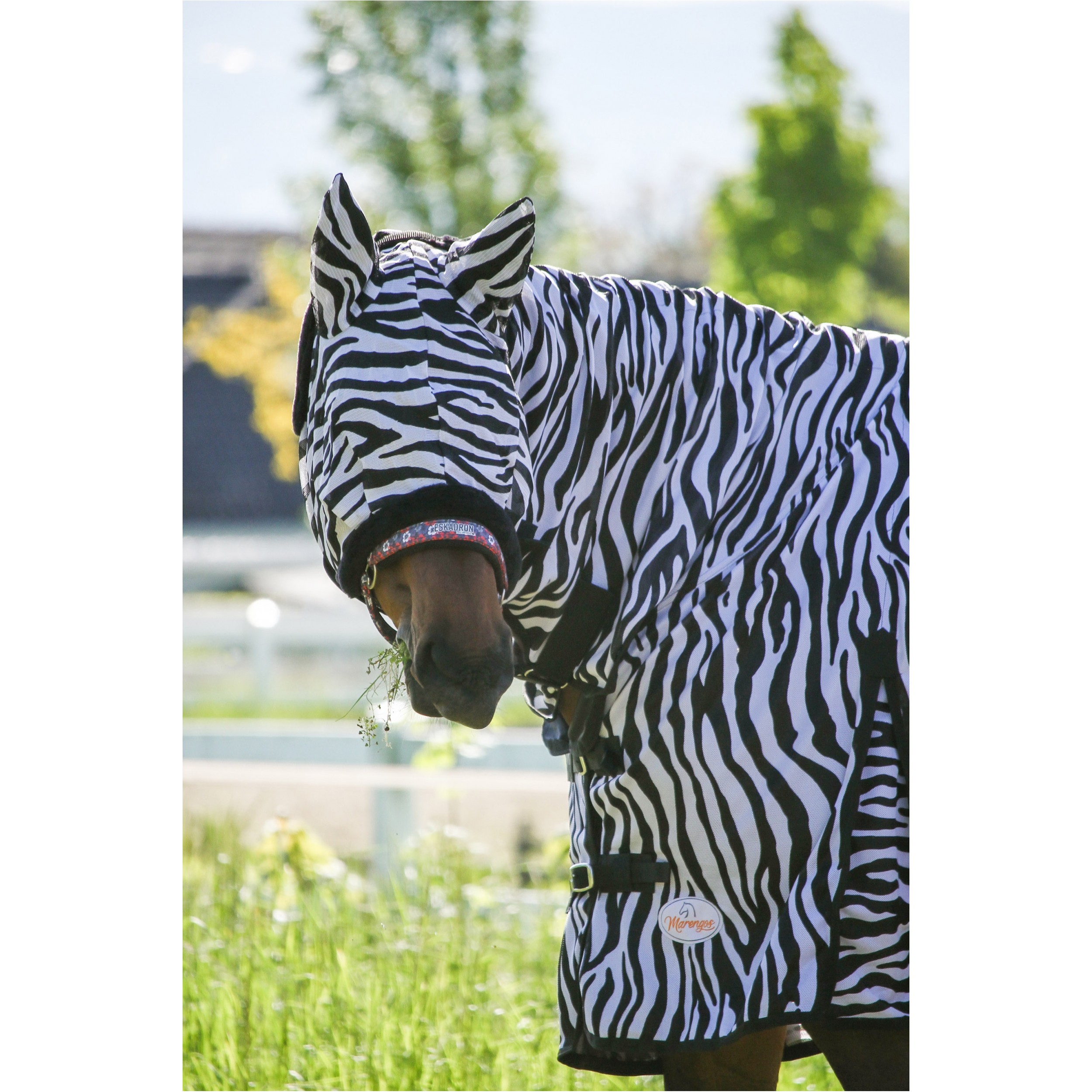 Fliegenmaske ZEBRA schwarz/weiß