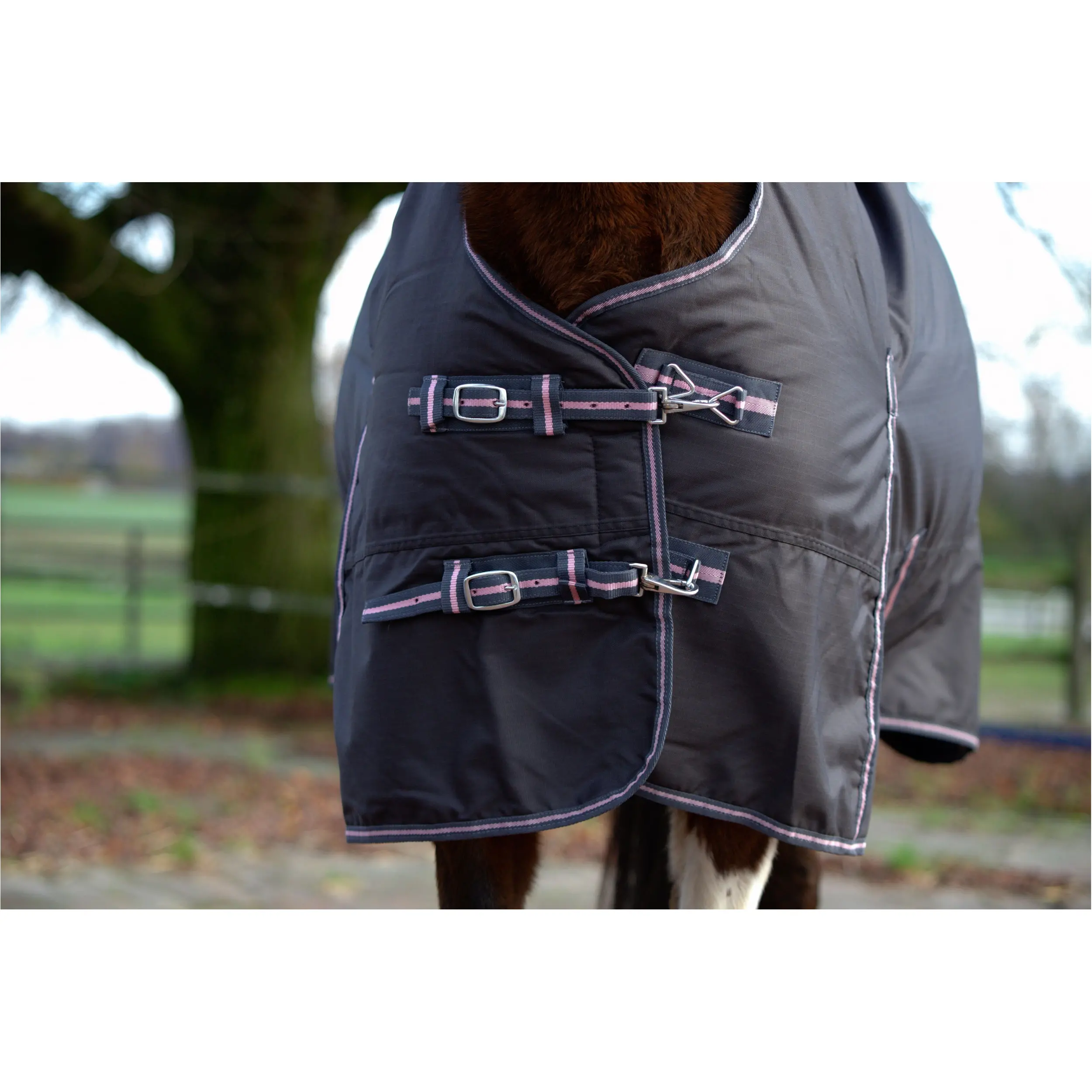 Weidedecke High Neck Nylonfutter 600D BASICLINE graphit/koralle