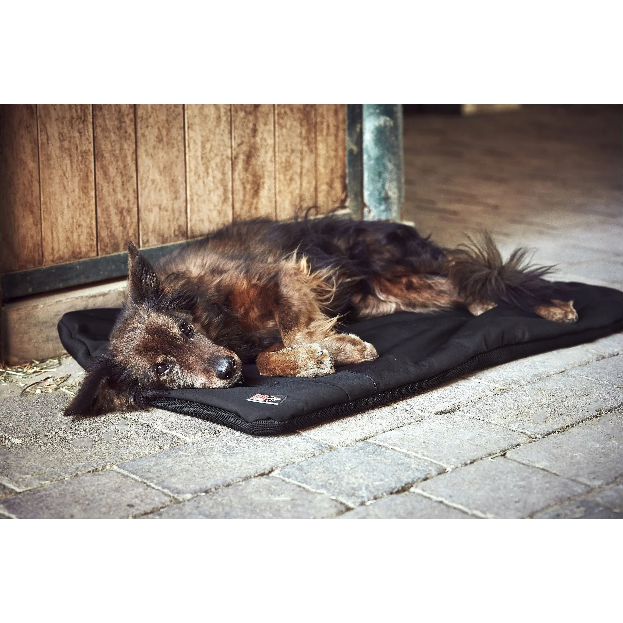 Heizdecke für Hunde FIR-Tech PRO schwarz 90x60cm