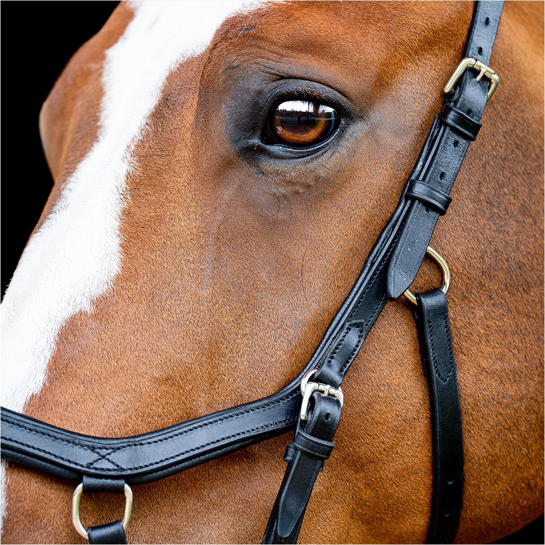 Trensenzaum MICKLEM 2 Competition Bridle schwarz