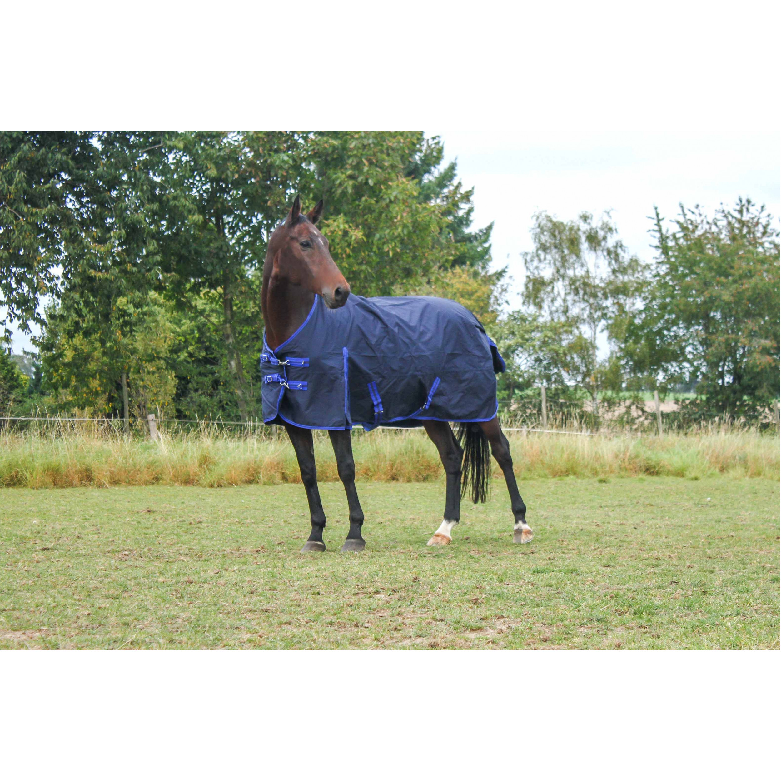 Weidedecke Polarfleece 600D BASICLINE dunkelblau - Posten