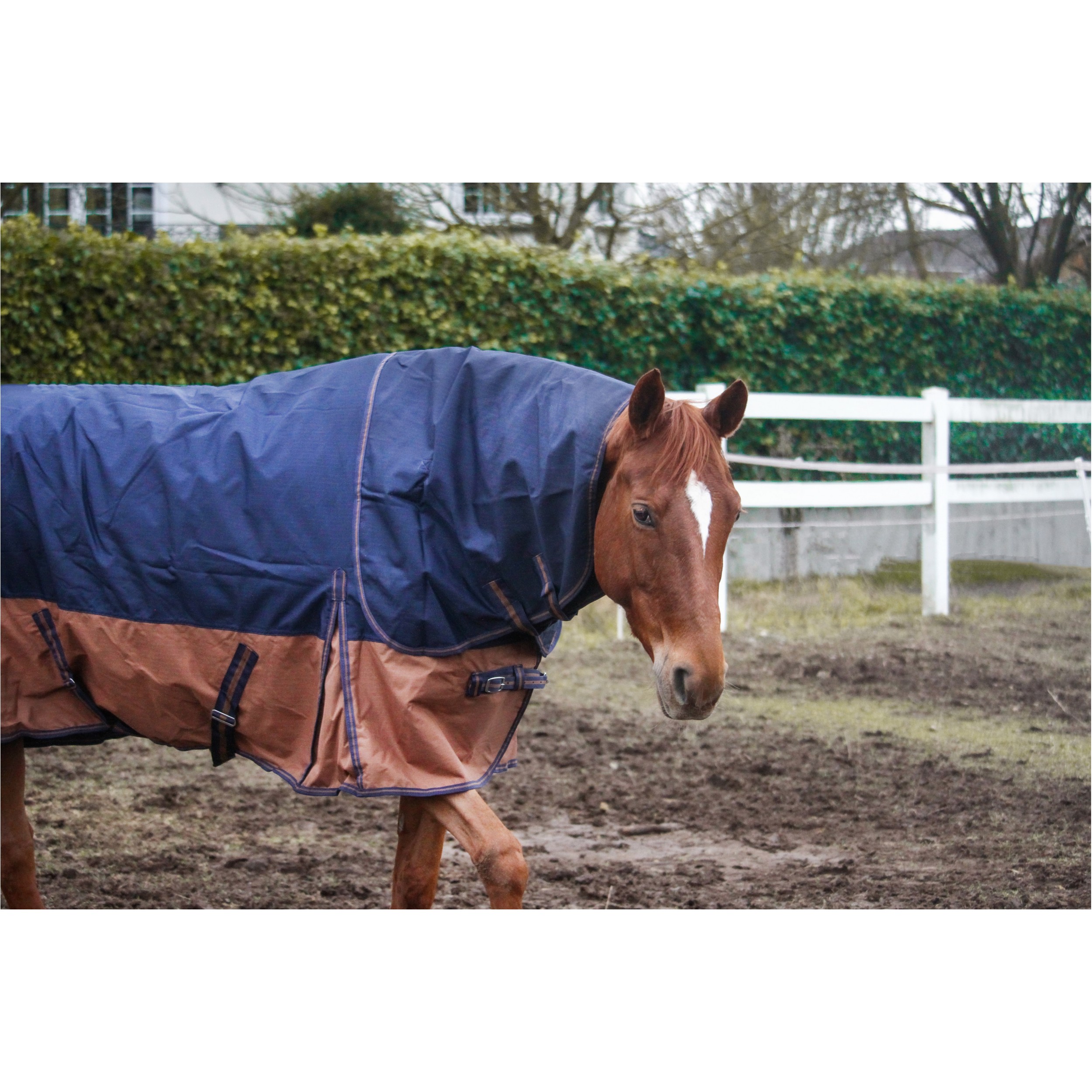 Weidedecke Full Neck Polarfleece 600D BASICLINE dunkelblau/braun - Posten