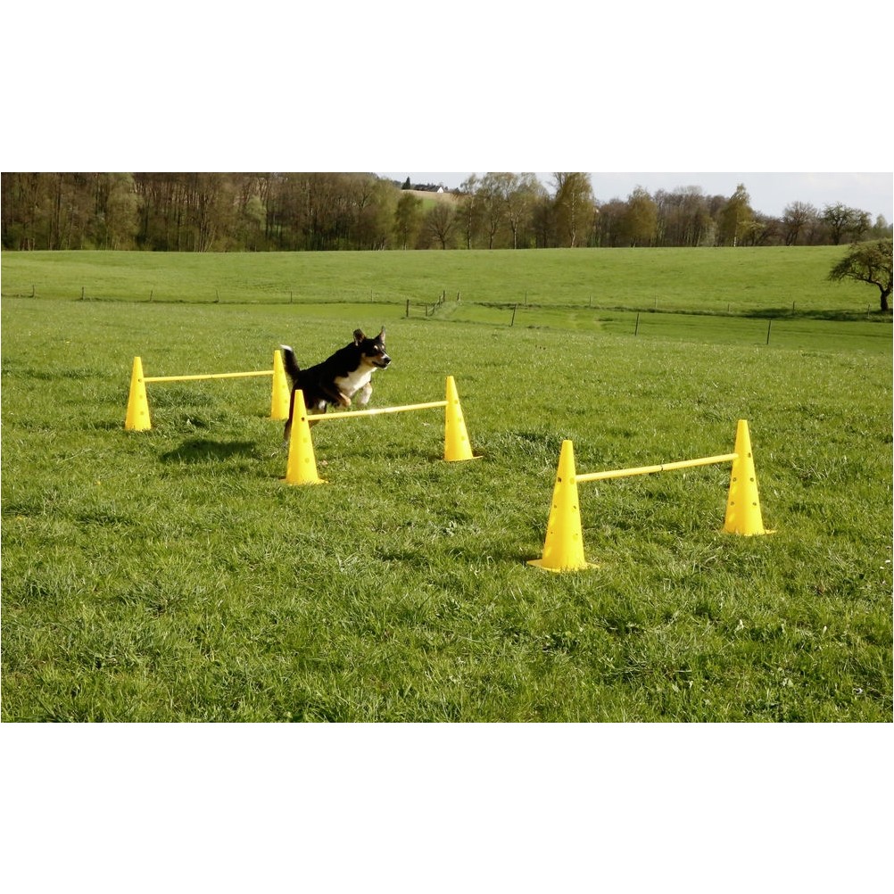 Pylonen-Hürden Set 3 Hürden AGILITY gelb