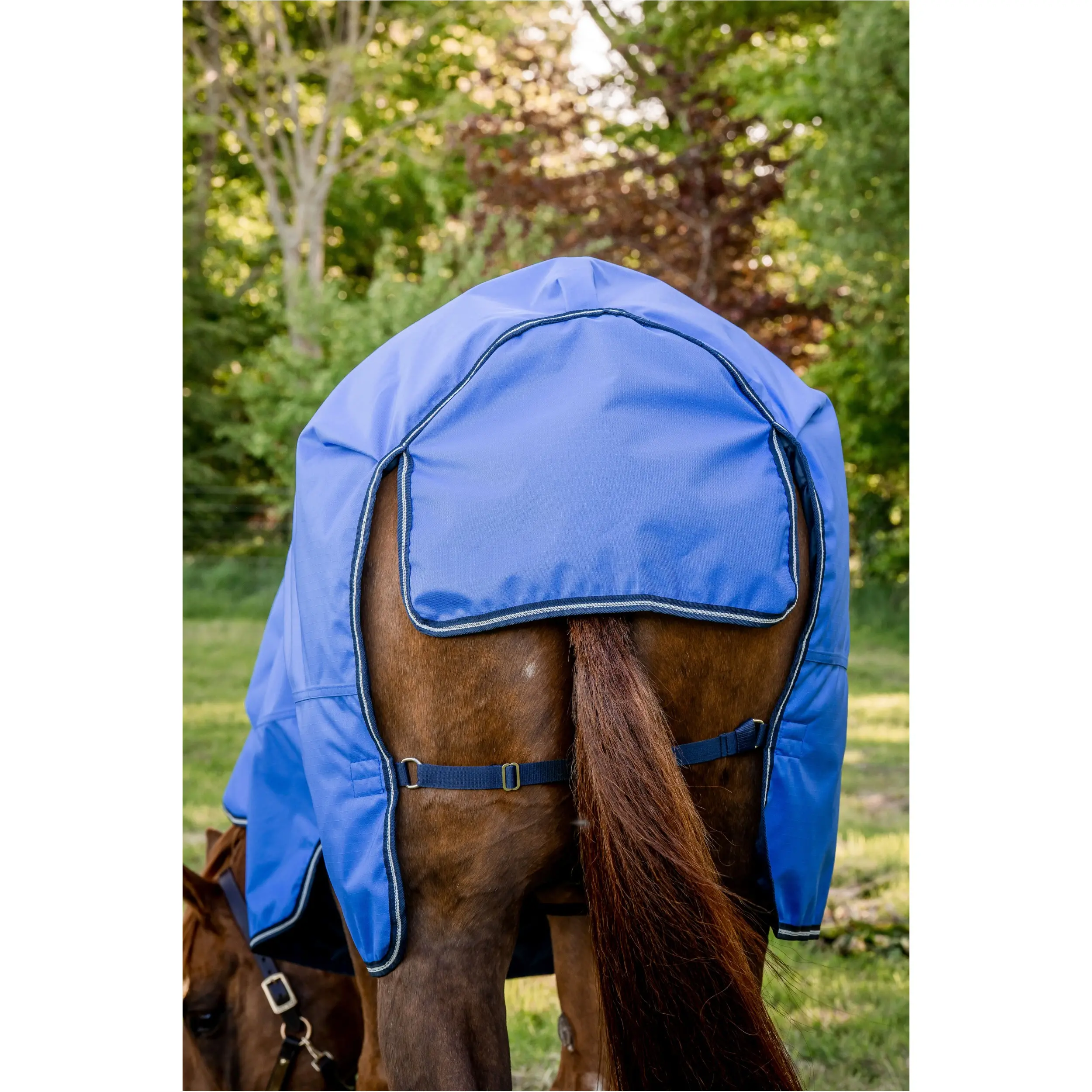 Outdoordecke 50g Füllung 600D AMIGO Hero Ripstop Horseware blue/navy