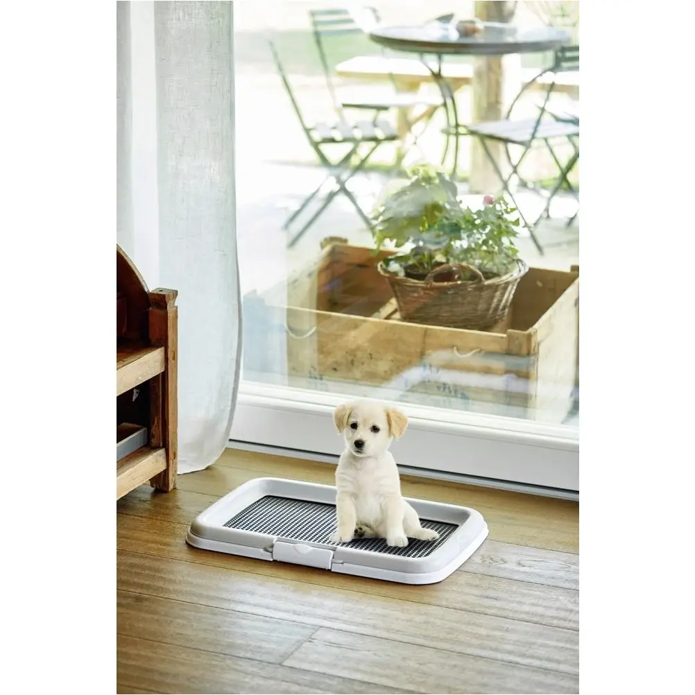 Welpentoilette Training Set PUPPY grau/weiß 60x40x4cm