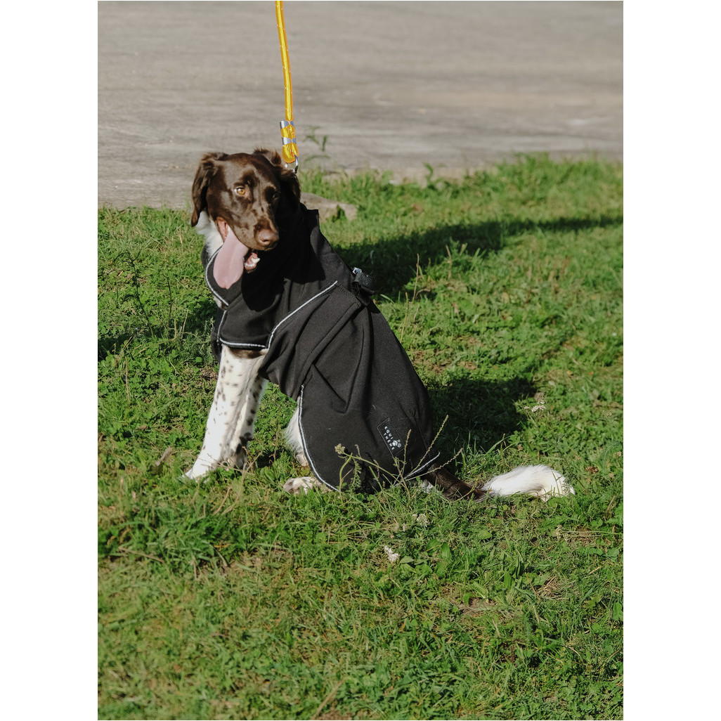 Hundedecke Softshell schwarz