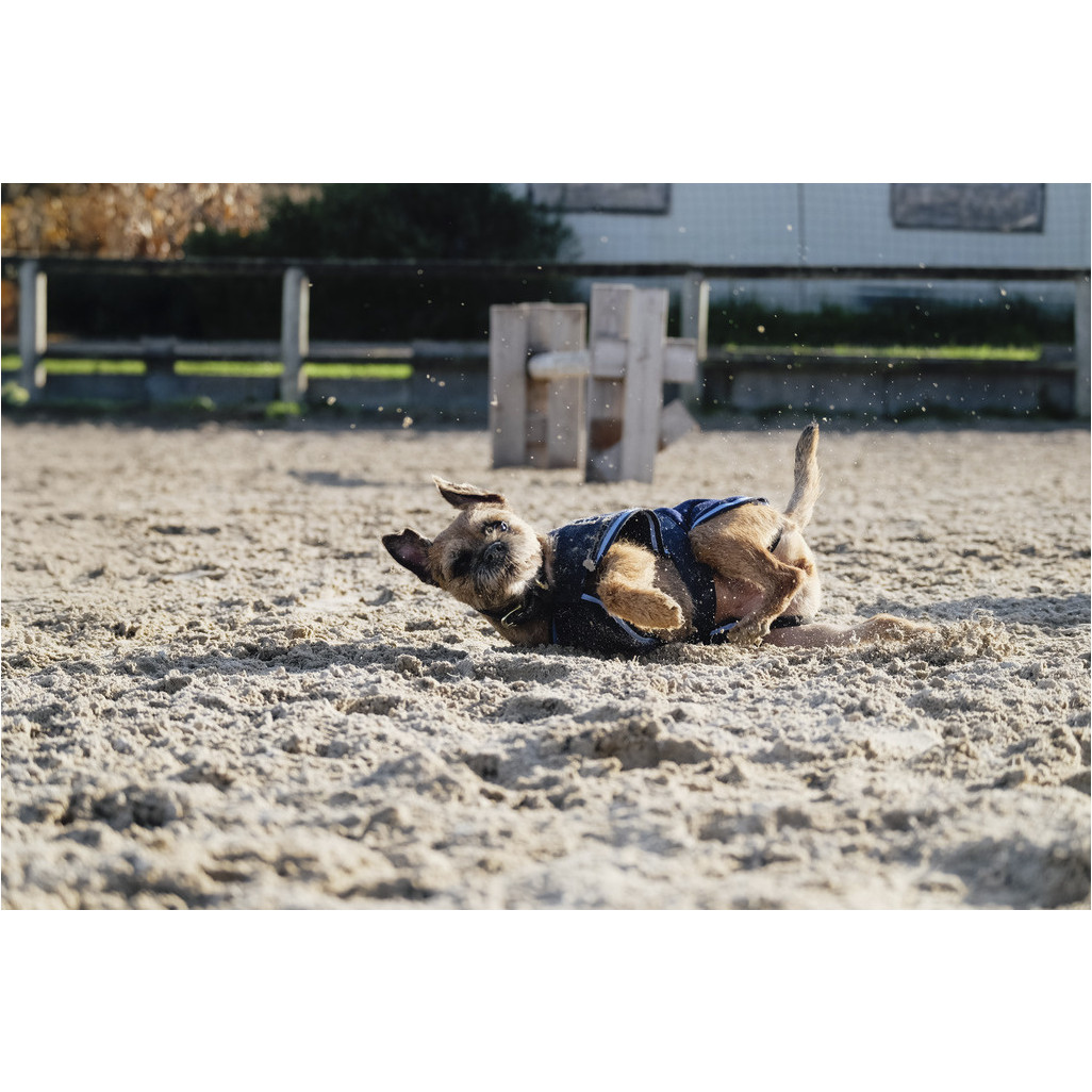 Fleecedecke für den Hund marineblau