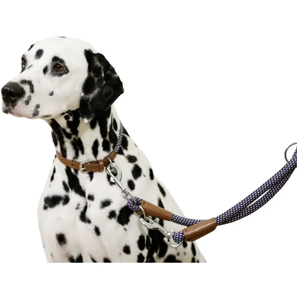 Hundehalsband PHOENIX blau