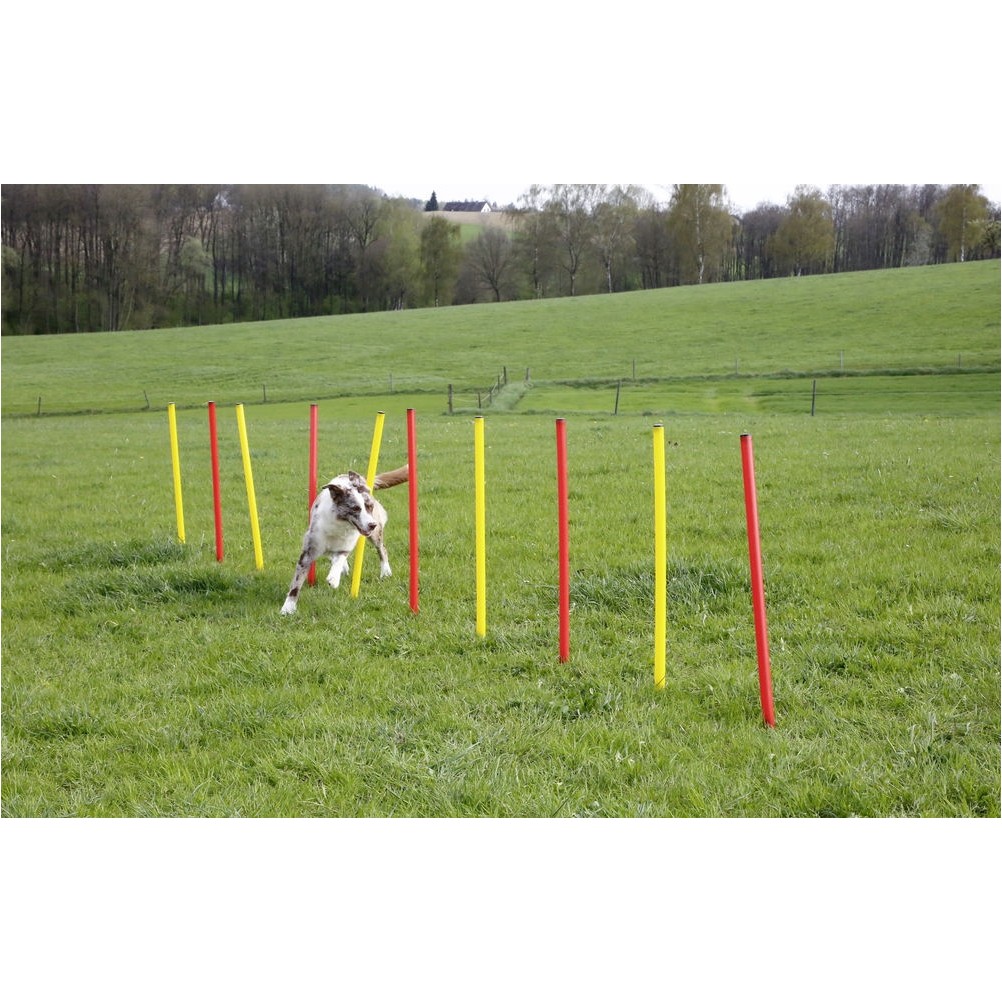 Komplett-Set (3-teilig) AGILITY rot/gelb