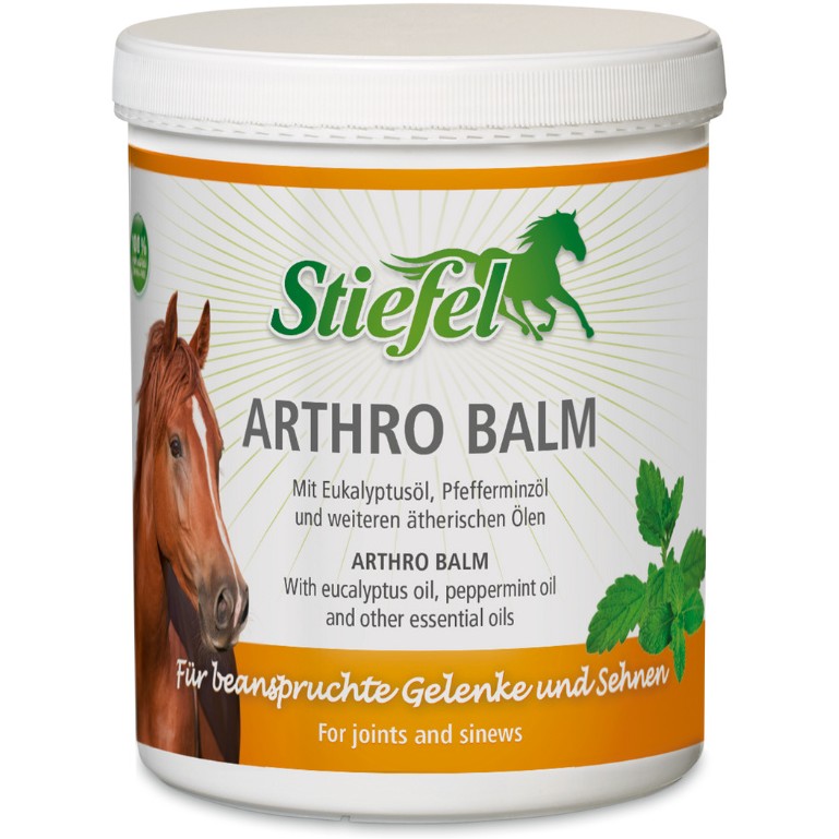 Arthro Balm für beanspruchte Gelenke und Sehnen 1000g