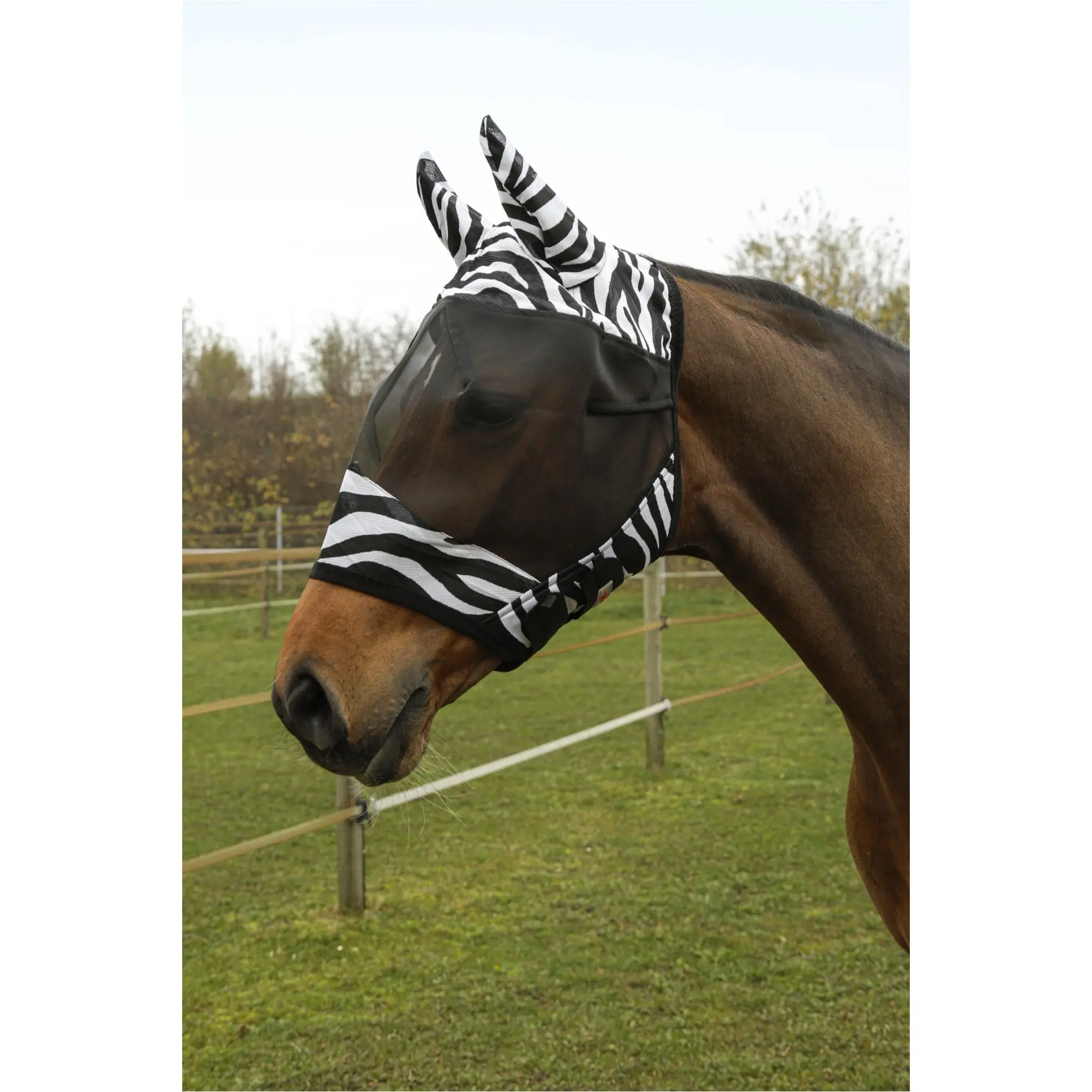 Fliegenmaske mit Ohrenschutz RugBe ZEBRA schwarz/weiss