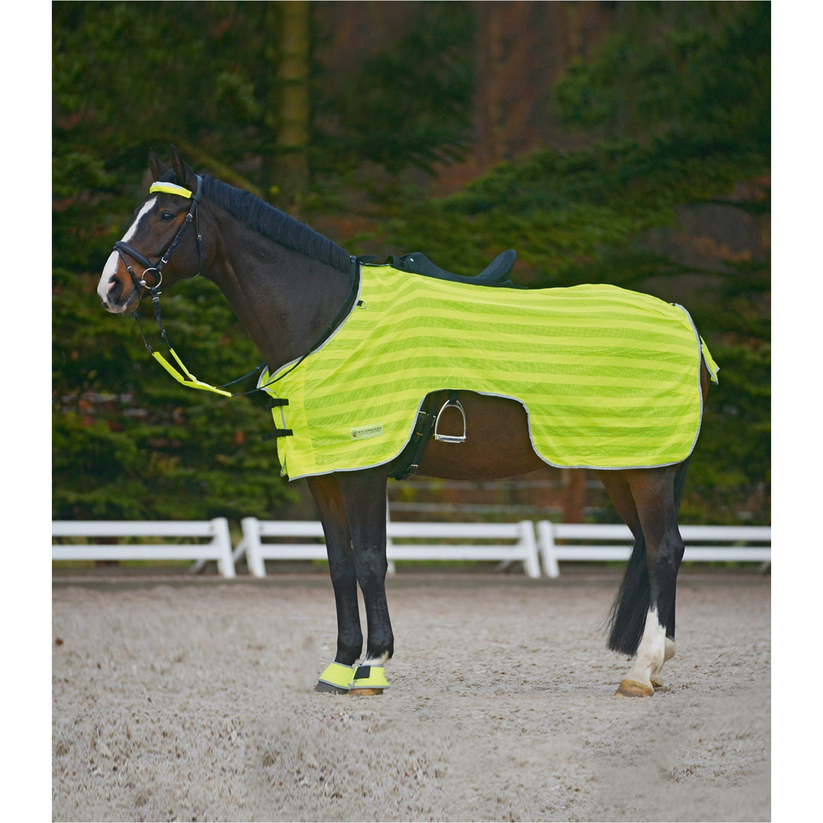 Ausreitdecke REFLEX neon gelb