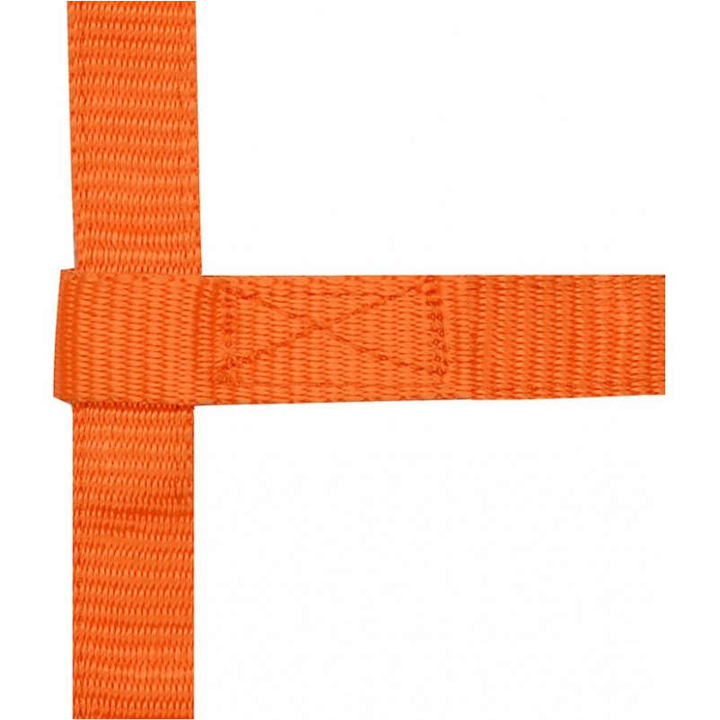 Fohlenhalfter orange