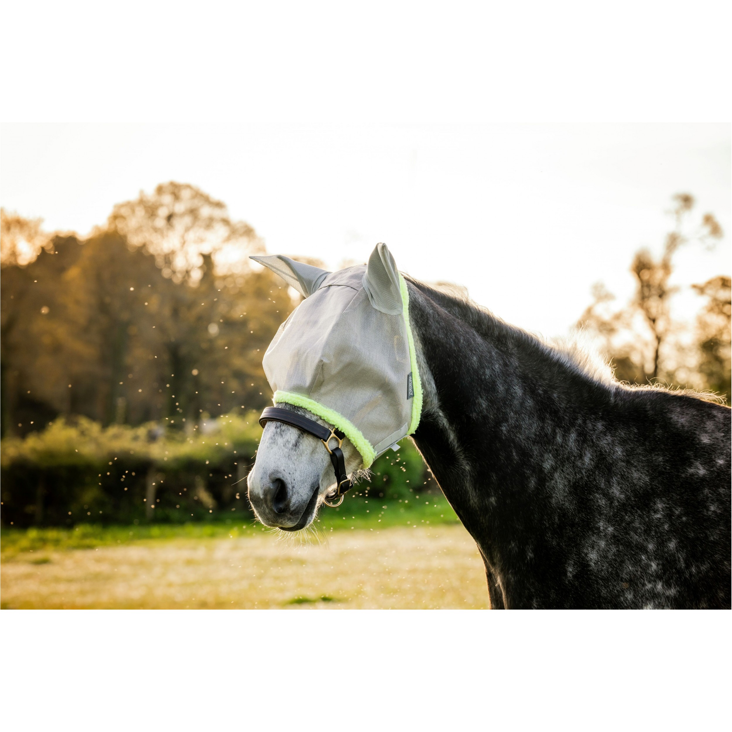 Fliegenmaske AMIGO Flymask silver/lime