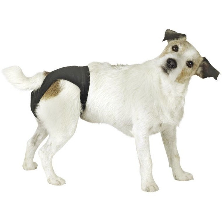 Hunde Luxus Schutzhose schwarz