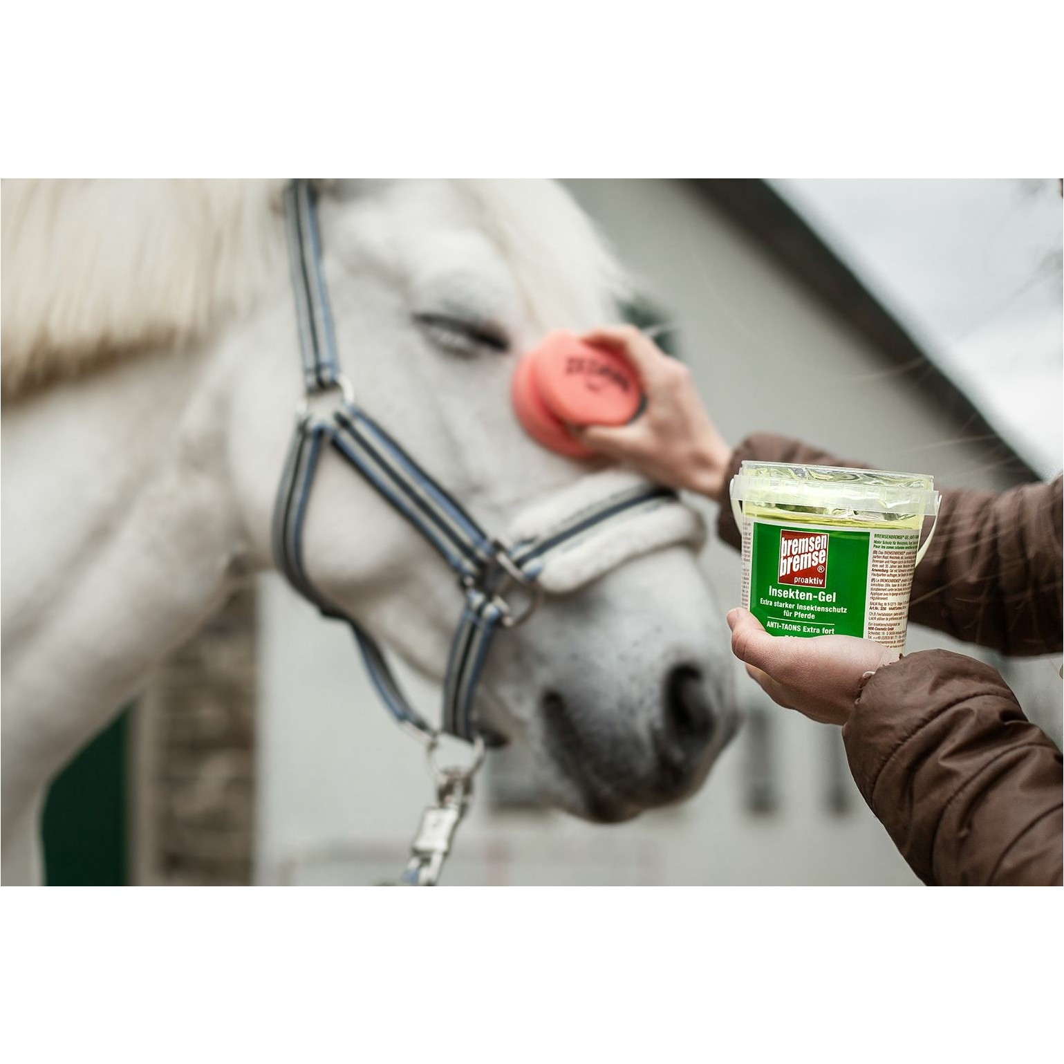 Insekten-Gel mit Schwamm PROAKTIV 500ml Eimer