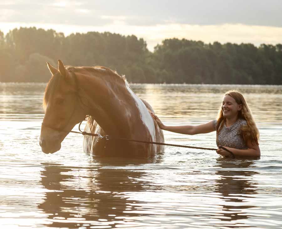 schecke-pferd-baden-wasser