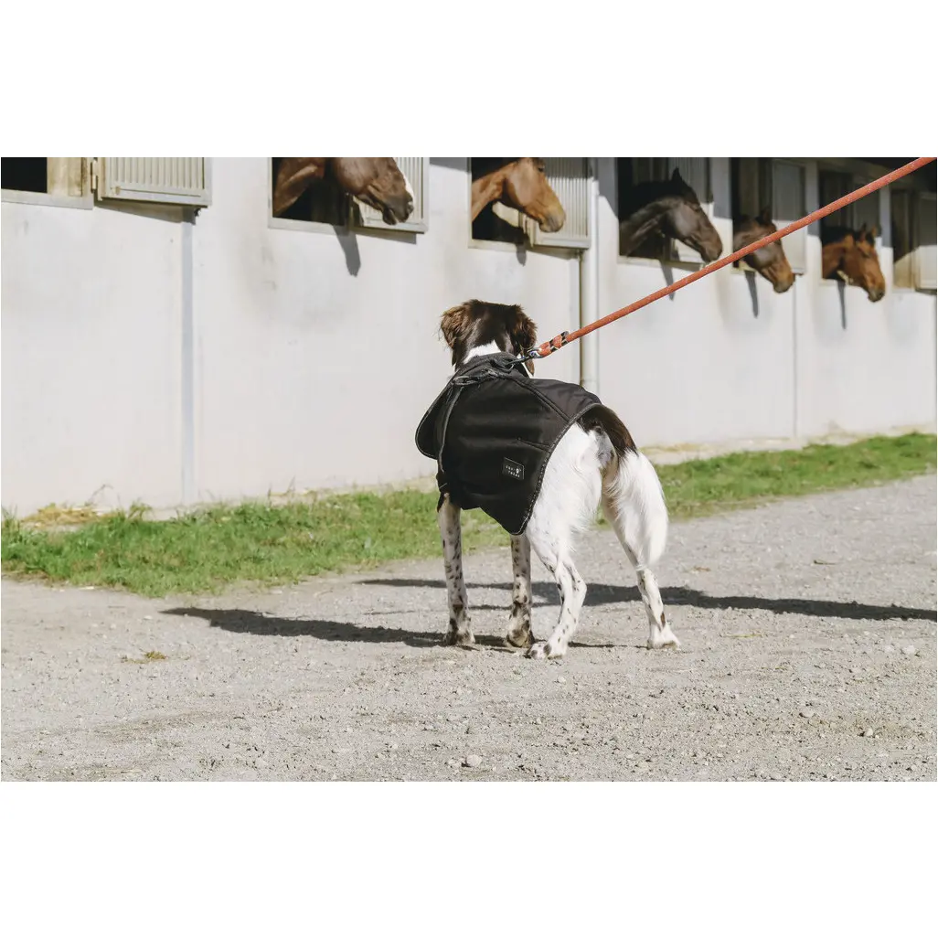 Hundedecke Softshell schwarz