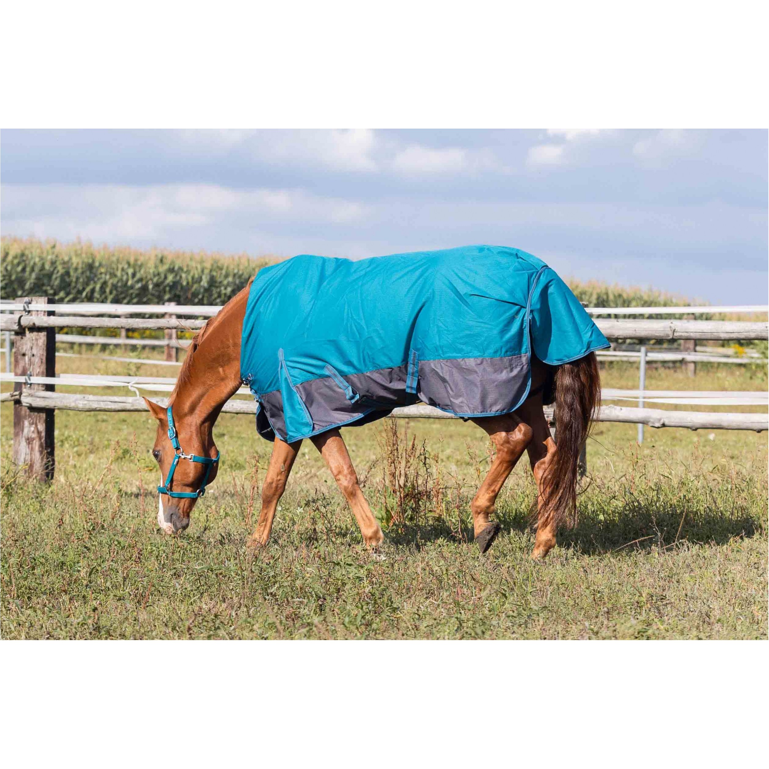 Weidedecke High Neck Polarfleece 600D BASICLINE petrol/graphit - Posten