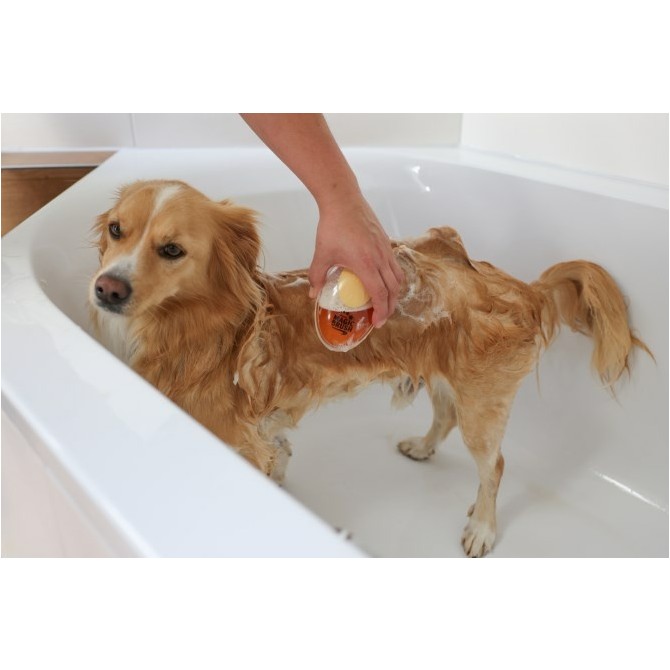 Badebürste Hund transparent/goldfarben